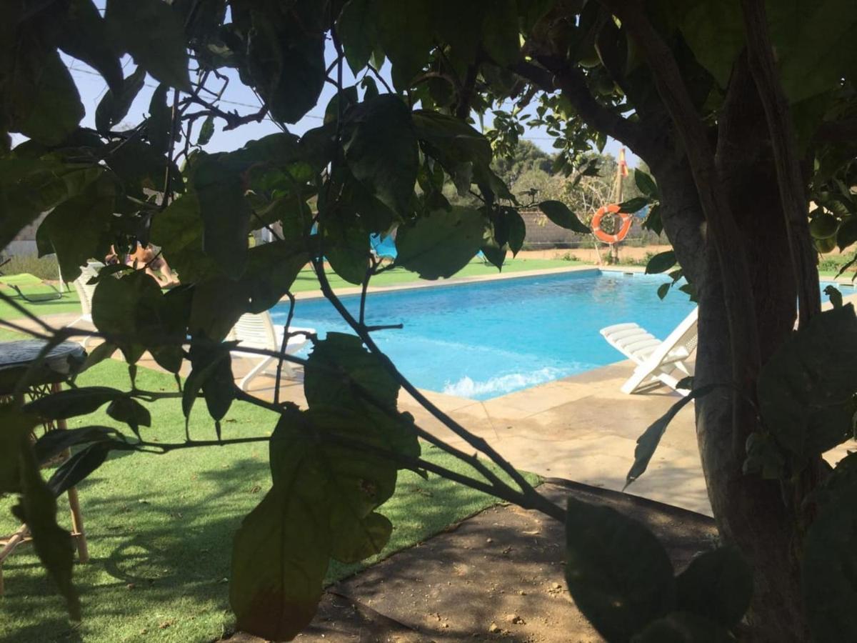 Вилла Chiclana Mobile House - Piscina , Wi-Fi, Relax Чиклана-де-ла-Фронтера Экстерьер фото