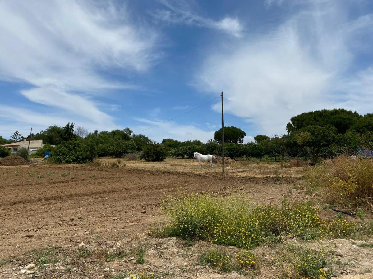 Вилла Chiclana Mobile House - Piscina , Wi-Fi, Relax Чиклана-де-ла-Фронтера Экстерьер фото