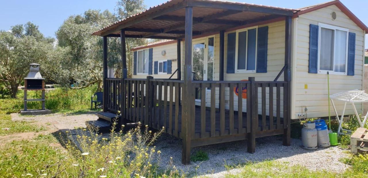 Вилла Chiclana Mobile House - Piscina , Wi-Fi, Relax Чиклана-де-ла-Фронтера Экстерьер фото